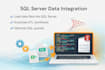 write efficient sql queries and handle sql server data integration