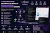 develop custom odoo modules and automations