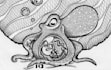 create a hand drawn ink illustration