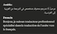 translate arabic documents to french with native accuracy