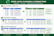 clean, format and organize excel spreadsheets