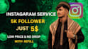 provide you instgram follower low rate and fast delivery