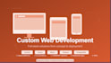 develop a custom web application with laravel and vue
