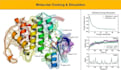 do molecular docking amdet and molecular dynamics simulation