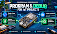 program and debug esp32 for iot projects