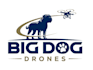 create a modern dog and drone mascot logo