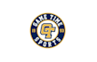 design created look hockey team logo