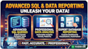 advanced sql queries data analysis and database reporting