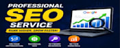 do professional SEO for your website