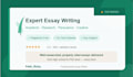 do case study analysis, assignment report, research summary writing, apa paper
