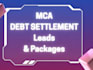 generate debt settlement leads