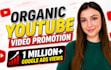do organic youtube video promotion for channel growth