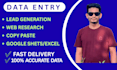 do data   entry in excel and google sheets