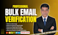 do bulk email verification and validation