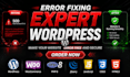 fix wordpress bugs theme issues CSS and speed optimization