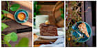 be your food photographer for recipes and cookbooks