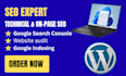 do website audit, technical optimization and google indexing
