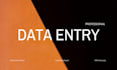 do up to 4 hours of professional excel data entry and copy paste