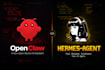 set up openclaw, hermes agent, claude code professionally