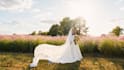 do wedding or event photo editing in lightroom