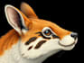 draw detail animal illustration