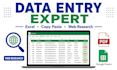 do data entry, copy paste, web research, and excel google sheets tasks