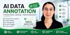 do chinese ai data annotation and data labeling