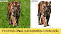 do background removal and image cutout