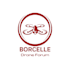 create a fancy stylish professional logo
