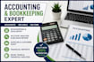 professional accounting, bookkeeping and excel services