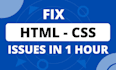 fix your wordpress, PHP, or javascript bug fast, same day delivery