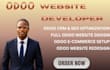 build odoo wesite design odoo setup odoo customization odoo erp API integration