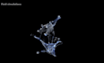 create 3d animated content and visual effects