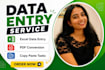 do accurate data entry, excel data entry, pdf conversion and typing