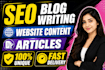 write professional SEO blogs, articles and website content
