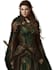 fantasy dnd character illustration