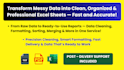 do professional data cleaning, formatting and excel cleanup