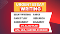 do essay writing as essay writer expert