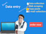 do accurate data entry, data collection, exel data cleaning