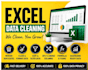 clean, format, merge, and organize excel data professionally