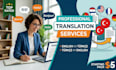 provide professional english to turkish