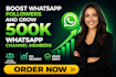 do professional whatsapp channel promotion