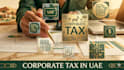 do uae vat filing and bookkeeping