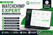 setup watchchimp automation, campaigns and email marketing system