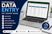 do fast data entry, excel data entry, pdf to excel