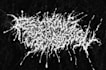 design technical death metal band logo