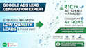 do performance marketing for ecommerce and local businesses