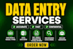 do data entry, copy paste work, PDF, bank statements, invoices into clean excel