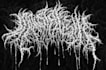 make old school thrash metal logo