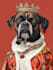 draw pet portrait illustration